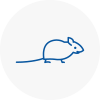 Mice Exterminators In Walsall